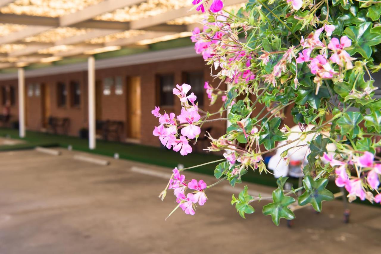 Elm Court Motel Albury Ngoại thất bức ảnh
